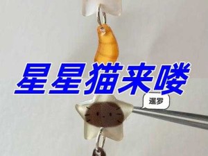 天天酷跑星星的猫最佳人物搭配及策略解析