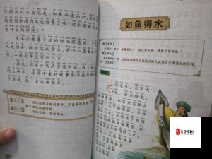 三国志13亲家笼络全攻略 助你游戏游刃有余