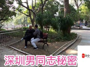 Chinese 男男 GayFuCK 激情酒店：揭秘同志之间的激情之旅