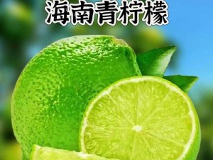 青柠在线：开启全新便捷优质服务之旅