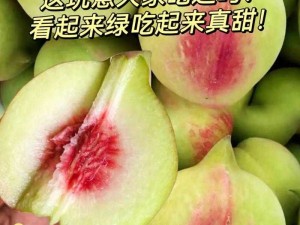 草莓樱桃水蜜桃的甜蜜滋味大揭秘