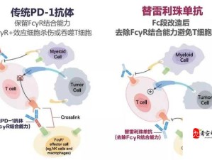 治疗效果显著：药效 1V2HPO 江漾 2 小时见奇效