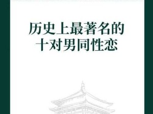 探索Chinese男男GayFuck彩虹文化的深度：揭秘其社会影响与未来趋势