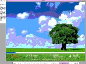 高清小学生 VPSWINDOWS：打开求知之门的钥匙