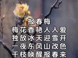 五月丁香花如雪，激情久久醉人心