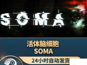 活体脑细胞Soma深度解析，沉船关卡全攻略与资源管理技巧