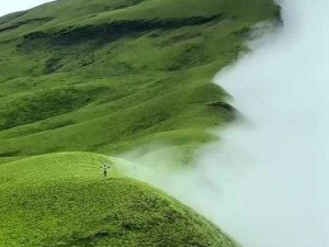 国产色迷迷：中国电影产业的独特风景