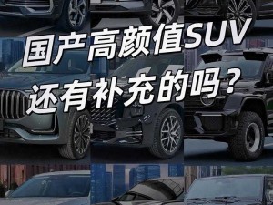 国产又美又漂亮的 SUV ：引领时尚出行新潮流的绝佳选择