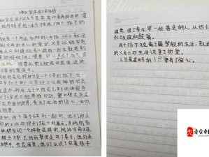 秘密花园后妈小城小说第十章：后续故事的发展与人物命运的走向