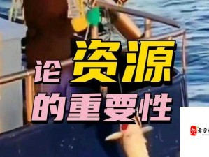 逃离死亡岛，码头办公区问题速解与资源管理关键性探讨