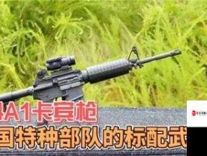 全民突击，AK47与M4A1性能对比，哪款更适合你？