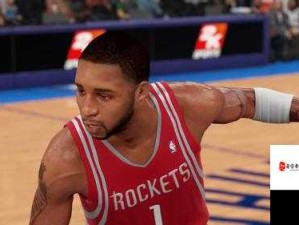 NBA2K16 Codex破解版中文设置及资源管理高效指南