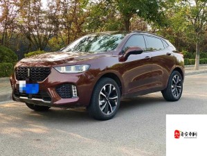 wey vv5 国产 SUV 魅力视频呈现