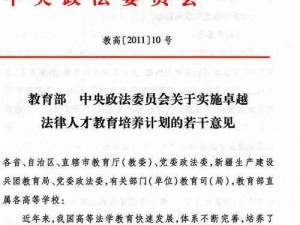 法律文件要求下关于龙珠的相关探讨