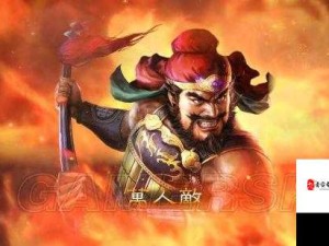 三国志13魏国名将风采 张郃人物解析与资源管理战略地位