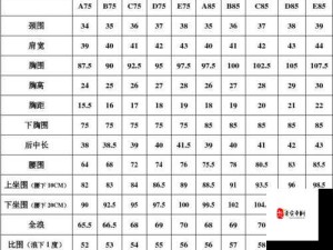 亚洲码欧洲码一码二码三码的区别与特点以及适用范围探讨