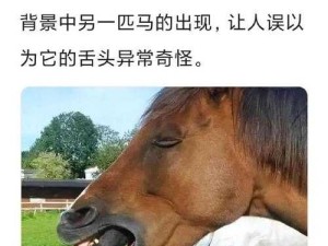 他的舌头：犹如魔法的魅力之源