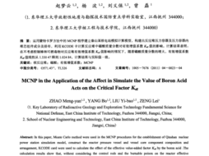 一个一个轮 MCNP：关于其原理与应用的深入探讨