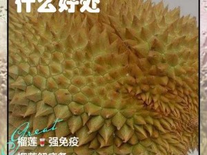 lll999 榴莲视频：探寻热带水果的美味与奥秘