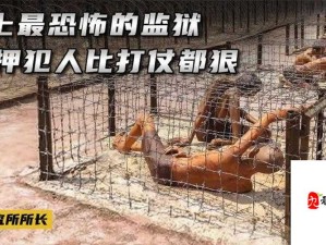 美国的忌讳 1-4 监狱：探秘其背后的神秘与黑暗