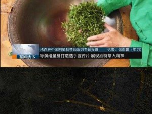 女婿有劲枪枪到底：展现独特力量与坚韧精神