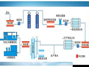 日本双渗透现象的深入剖析与探讨