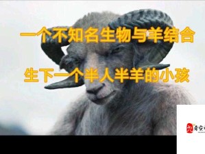 人配羊多久分开？解析这一现象背后的时间因素及相关问题探讨