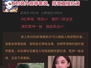 梦幻西游手游，苍白炼妖13技评分宠视频的资源管理优化策略