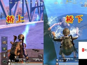 B站刺激战场视频：支持提供海外作品，你怎么看？