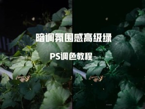 免费 PS 大片调色视频软件下载：轻松上手，打造专业大片效果