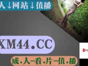 亚洲乱码卡一卡二卡新区使用方法：安全、便捷、高效的网络畅游之道