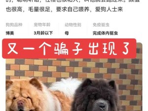 人 or 猪 or 狗已彻底下架-老用户：这意味着什么呢以及带来的影响