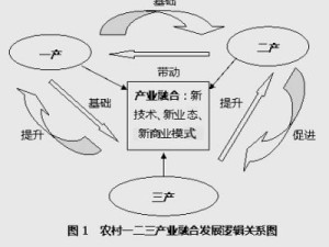 国家一产二产三产融合示范区：打造现代农业产业体系的新引擎