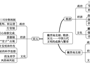 探索欧美人曽交背后的文化与历史