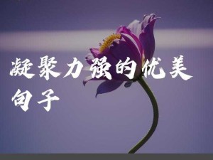 一同 yitong 携手共进创造美好未来