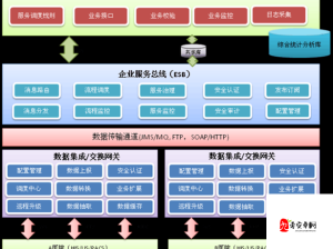 医院的特殊待遇 8 之深入探究与全面解读