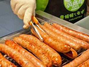 小洞需要大肉肠免费观看：但这真的合适吗究竟怎么回事