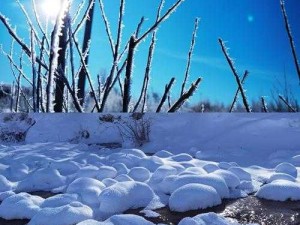 雪地探险指南，全面解锁伤害世界中的雪地进入技巧