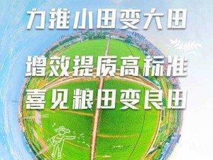 大地资源中文在线观看免费版高清拒绝改写：为何要拒绝改写呢