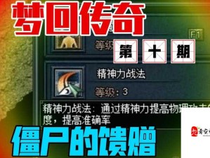 梦回传奇单机版Backmir攻略，资源管理问题集锦与技巧