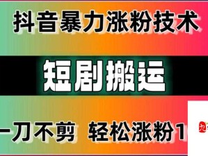 91 短视频最简单三个步骤：助您轻松上手短视频创作