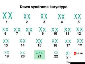 亚洲人与欧洲人染色体的 23 对染色体有何区别