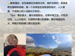 四川彝族 XXXXXLmedjyf 免费：探寻彝族文化的宝藏