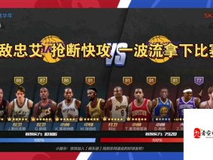 NBA传奇对决启示，艾弗森VS科比在资源管理策略中的核心意义