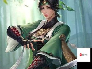 三国志13武将马云禄实力剖析，属性与能力全面解读