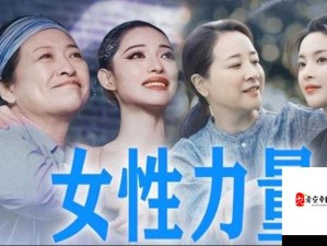 电影：你比丈夫更厉害：女性力量的崛起与挑战