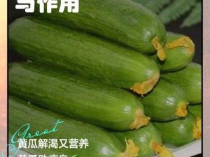 黄瓜和牛奶可以一起吃吗？专家解答来了