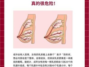 揉我奶头 啊 嗯小雪：一场私密的情感纠葛