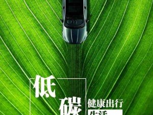 HP 公交车灌溉系统：创新科技助力城市绿色出行