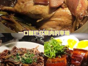 太子宠妾高肉红烧肉包：香气四溢令人垂涎的美味佳肴